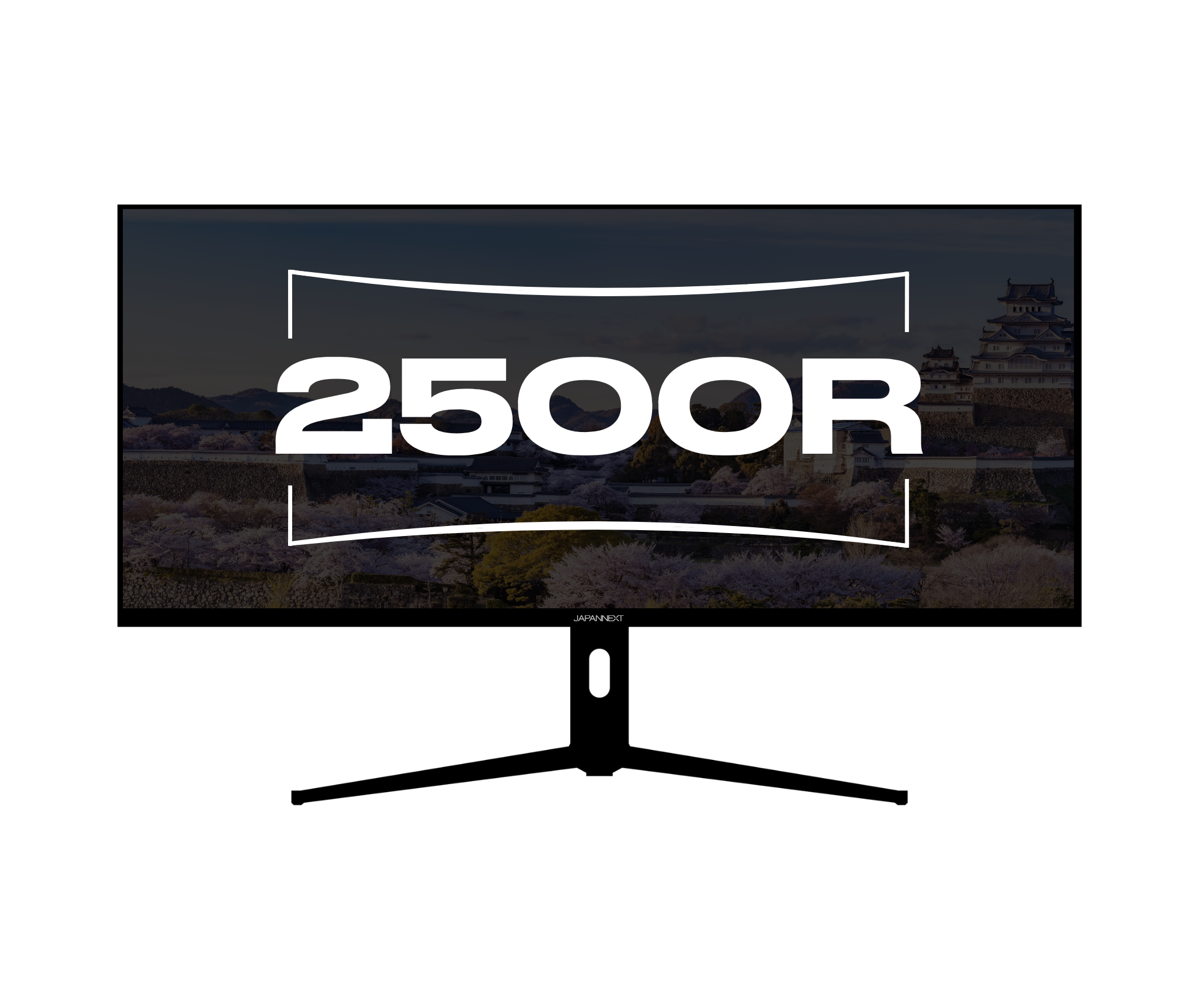 Curved Monitor | 39.7" | WUHD | IPS | USB-C (+ 65W charging)