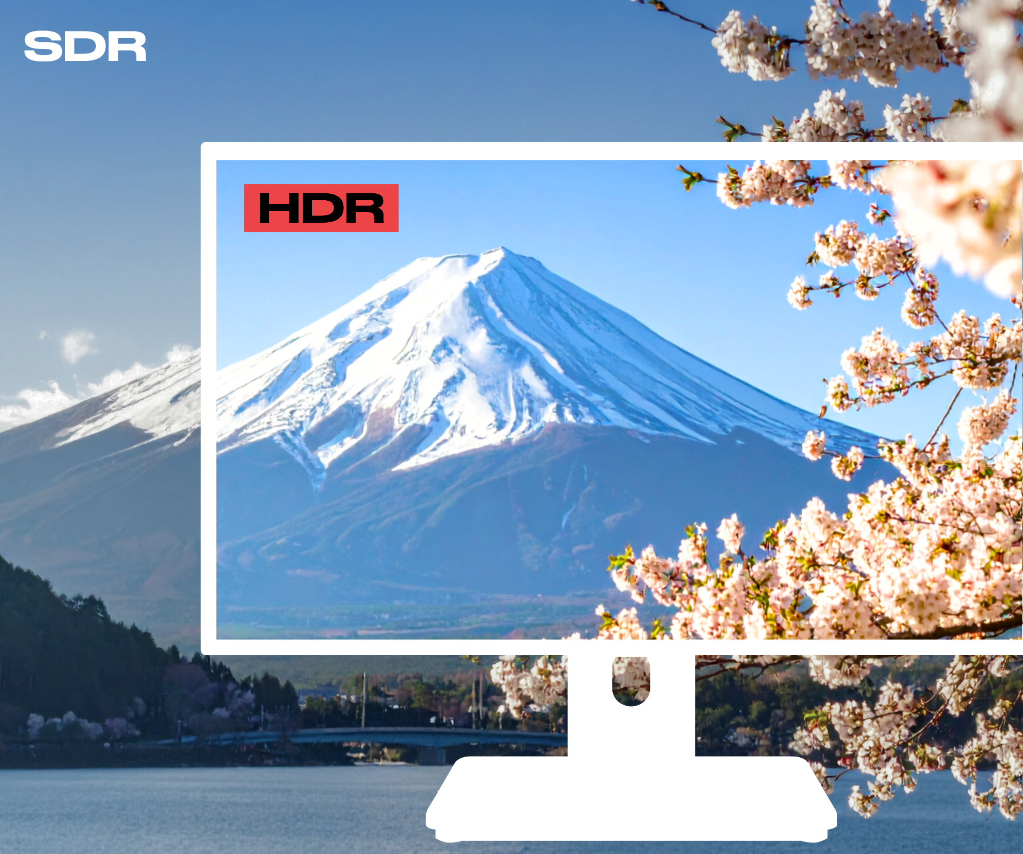 Écran PC Bureautique | 21.5" | FHD | Tactile | KVM | Power Delivery 65W | Pied ergonomique articulé