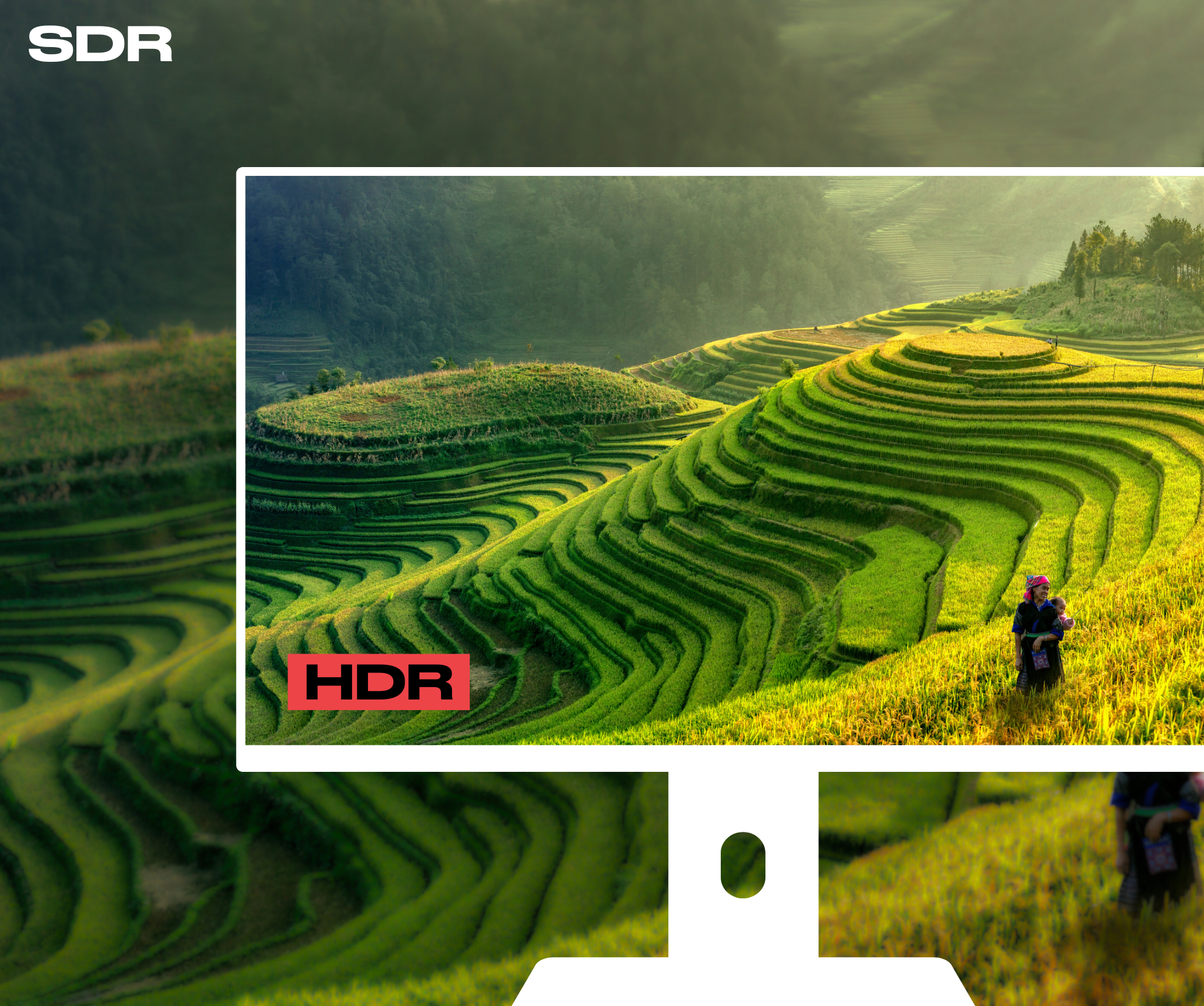 Desktop Monitor | 23.8" | 4K UHD