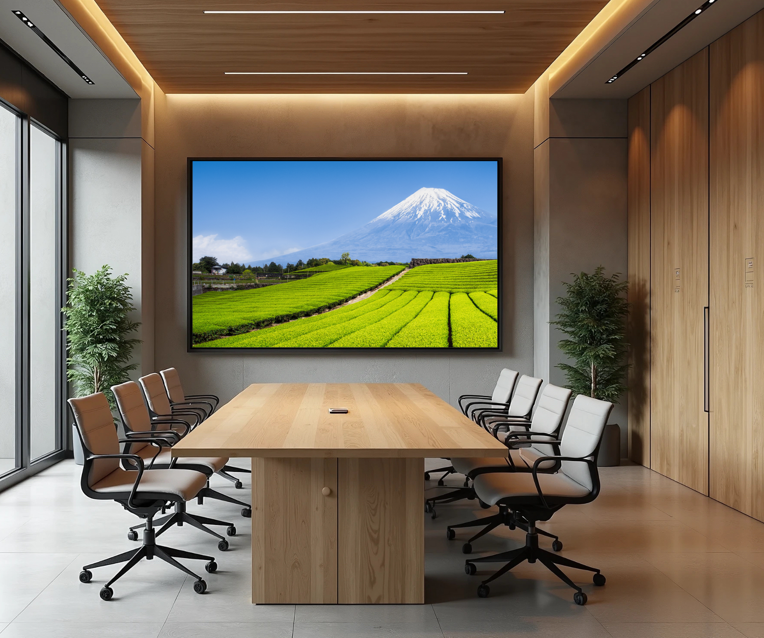 Large Format Monitor | 55” | IPS | 4K UHD
