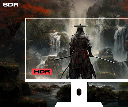 Gaming Monitor | 27&quot; | IPS | WQHD | 165Hz (refurbished)