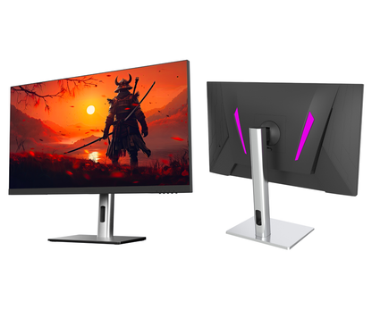 Gaming Monitor | 24.5&quot; | IPS | Full HD | 500Hz | USB-C (+65W charging)