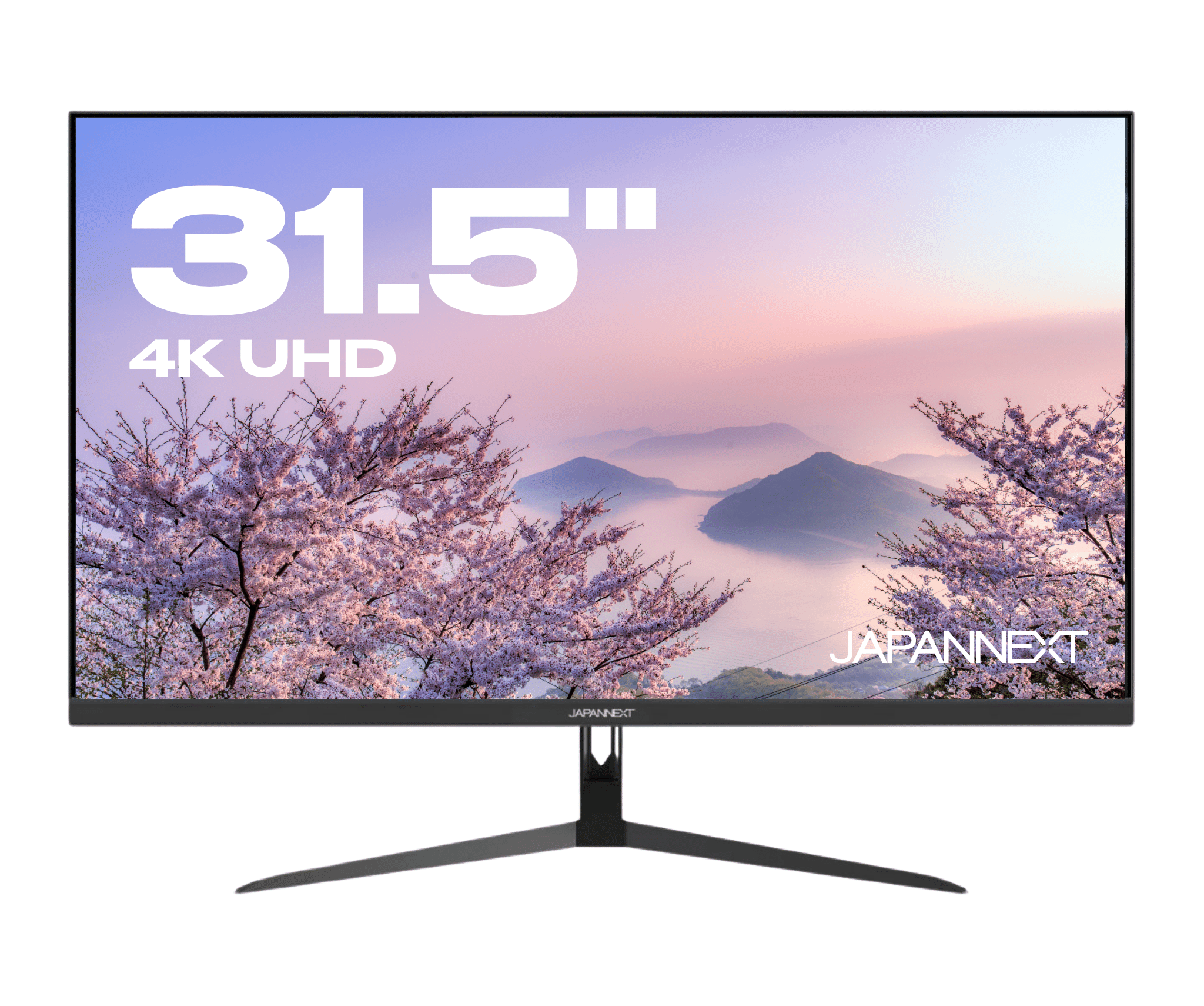 Desktop Monitor | 31.5&quot; | 4K UHD | 60Hz