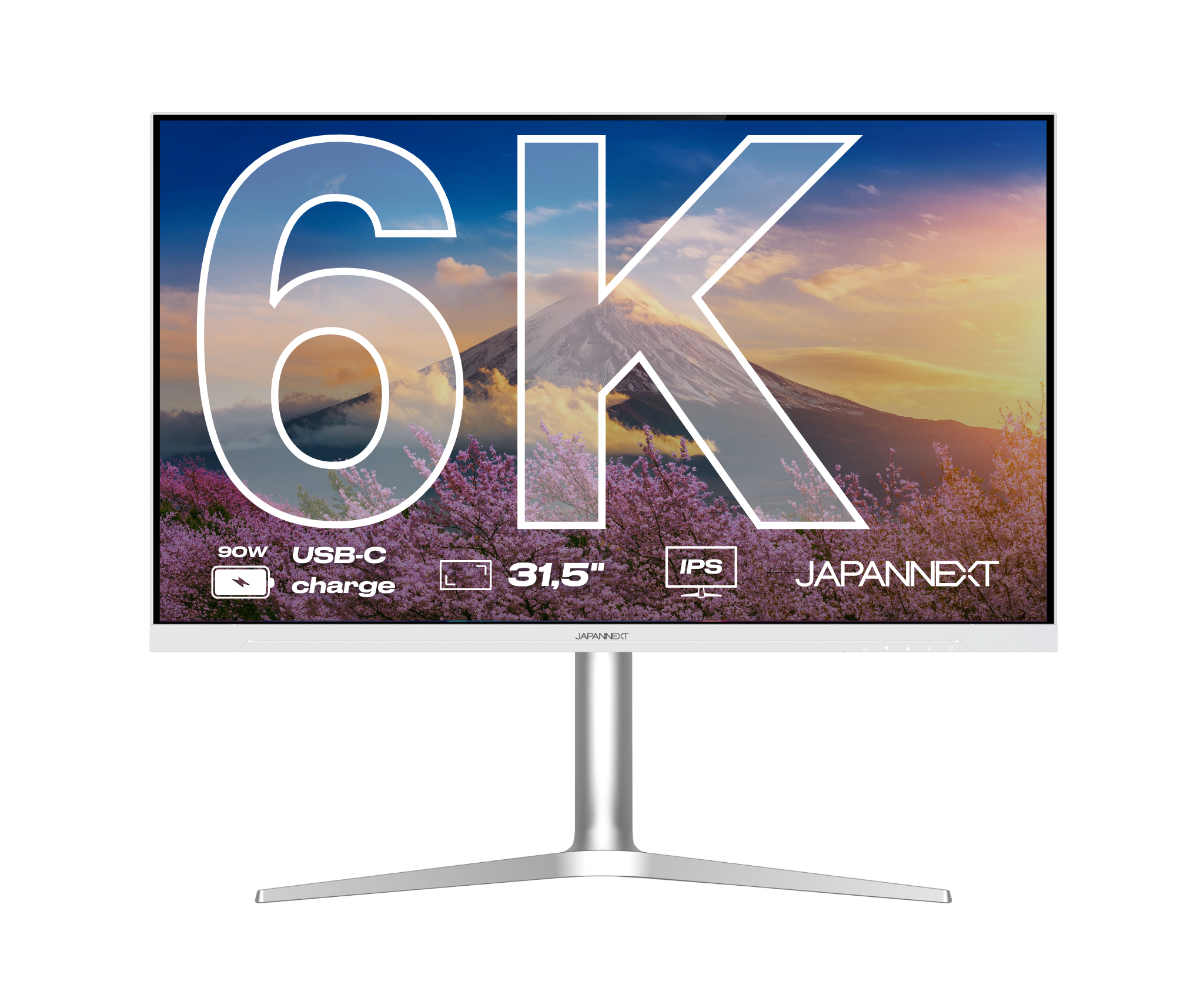 Écran PC Bureautique | 31,5