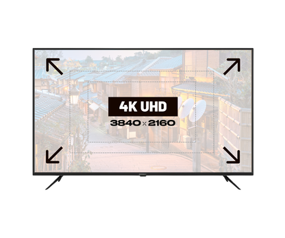 Ecran PC Grand Format | 55&quot; | IPS | 4K UHD